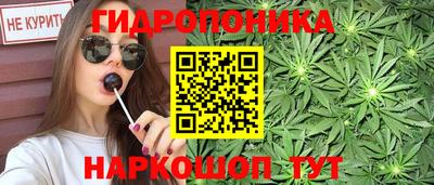 гашик Свободный